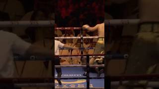 Deontay Wilder gets Knocked out 👀🔥 [upl. by Dryden152]