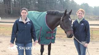 How To Buy a Turnout Blanket [upl. by Yeldar]