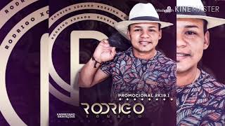 Rodrigo xonado promocional 2k19 vol 4 [upl. by Yerffoj]