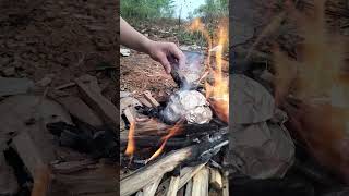 Grilling eggs in aluminum foil bushcraft [upl. by Enaamuj]