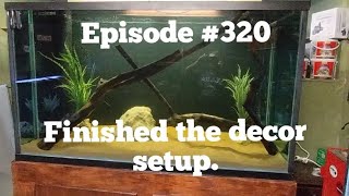 Finished the decor setup on the 450 gallon aquarium [upl. by Enytsirk44]