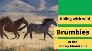 Riding with brumbies in the Snowy Mountains [upl. by Pazit]