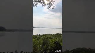 📍Okhla bird sanctuary must visit  MiniVlog  minivlog vlog shorts short viralvideo mustvisit [upl. by Enilarak]