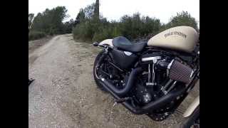 IRON 883 2014 Vance amp Hines [upl. by Rikahs816]