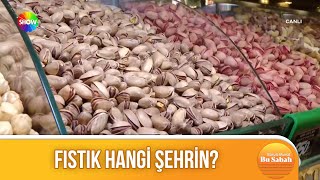 Fıstık hangi şehrin [upl. by Abeh]