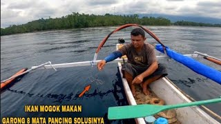 Mancing TradisionalBulu Ayam amp Garong Matahari [upl. by Eanrahs]