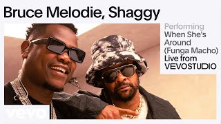 Bruce Melodie Shaggy  When Shes Around Funga Macho Live Session  Vevo [upl. by Slater]