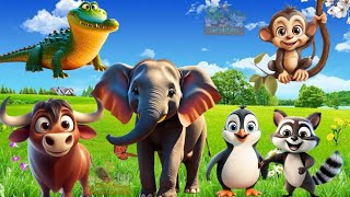 Wild Animals Sounds Elephant  Penguin  Racoon  Buffalo  Monkey Animals Sounds animalsounds [upl. by Kimball]