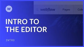 Using the Editor for clients and collaborators  Webflow tutorial [upl. by Ecirpac]