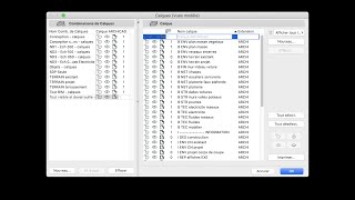 BIMfast Calques et Combinaisons de calques avec ARCHICAD [upl. by Ahsila872]