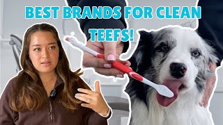 BEST Dog Toothpastes for Cleaning Whitening and Fresher Breath [upl. by Analrahc]