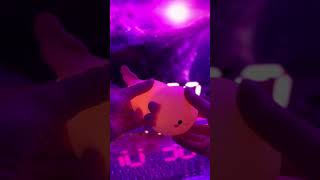 Unboxing cute axolot 🥰🥰 Product link in bio axolot night lamp light gift cute [upl. by Nasya]