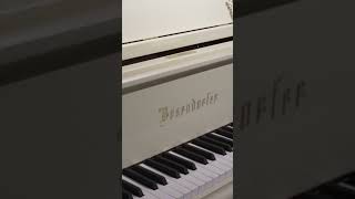 Bösendorfer 185VC Baroque Grand Piano at Classic Pianos Denver [upl. by Cirri]