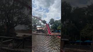 SheiKras Final SPLASH at Busch Gardens Tampa themeparks rollercoaster buschgardens [upl. by Carney]