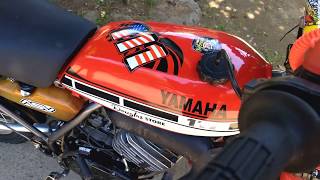 yamaha calimatic 175 [upl. by Ferriter]