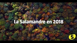 La Salamandre en 2018 [upl. by Rolfe]