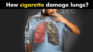 How Cigarettes Smoking Damages Lungs UrduHindi [upl. by Enniotna988]