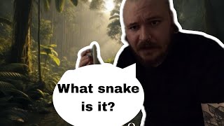 UNBOXING NEW VENOMOUS SNAKE [upl. by Alis]