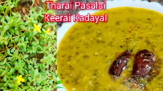 Tharai Pasalai Keerai KadayalSiru Pasalaiதரை பசலைக்கீரை கடையல்cookingwithammuammusirupasalai [upl. by Eidnas]