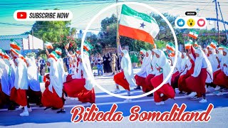 Bilicda Dalka Somaliland Official Video Ibnupoint [upl. by Ricketts212]