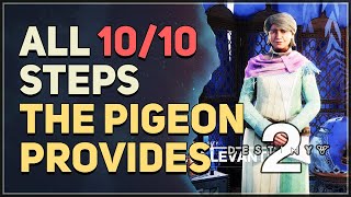 All 10 Steps The Pigeon Provides Destiny 2 [upl. by Etnoel]