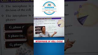 Biology  Interphase of cell cycle biology biologyshorts boardexam2025 [upl. by Francklyn]