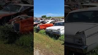 Check out my junkyard Playlist to see all of CTC AUTO RANCH [upl. by Hussein]