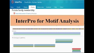 pfam is not working Interpro Motif analysis  Known domain in Protein Sequence Bioinformatics [upl. by Gignac]