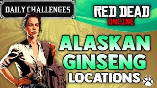 Red Dead Online  Alaskan Ginseng Location  RDR2 Daily Challenge Alaskan Ginseng Picked [upl. by Tam]