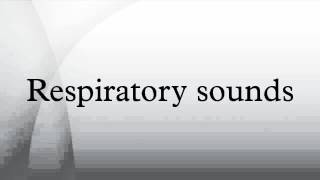 Respiratory sounds [upl. by Alyakcm]