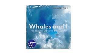 Official Audio Team Amstel  Whales and I [upl. by Edivad]