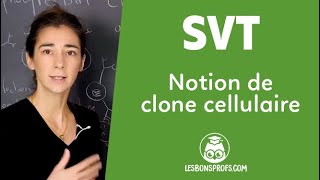 Notion de clone cellulaire  SVT  Terminale  Les Bons Profs [upl. by Eecyaj]