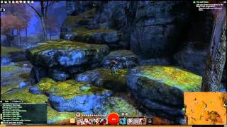 Guild Wars 2 Plains of Ashford Vista  Martyrs Woods [upl. by Llenehc]