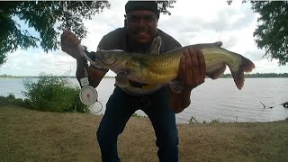 White Rock LakeDallas channel catfish fresh bluegill the way to go fishing bankfishing [upl. by Brunn]