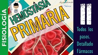 Hemostasia Primaria Coagulación ¡Fácil Explicación  Mentes Médicas [upl. by Sinnard370]