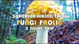 Superior Hiking Trail Fungi FrolicPart 1 [upl. by Aland350]