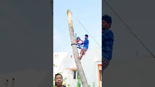 man sawing wood from a tree high up [upl. by Eeryk]