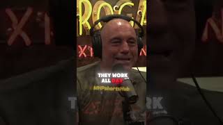 Theo Von and Joe Rogan Roasting Billionaires [upl. by Ahseekal993]