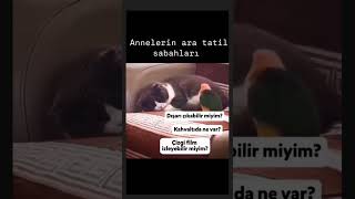 Ara tatil nasıl geçiyor 🤣🤣aratatil tatil comedy shorts annelik [upl. by Nallid463]