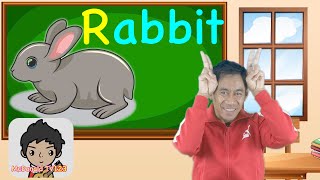 Let’s Learn “R” for Rabbit Full Lesson Phonics Spelling Singing Pretending English  Rabbit Song [upl. by Biernat]