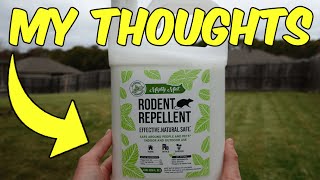 Review of the Mighty Mint Rodent Repellent [upl. by Ramona]