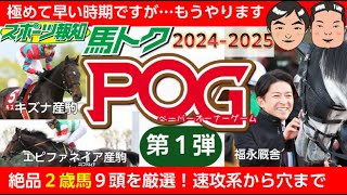 【POG情報20242025】２歳馬情報を大公開！エピファネイア産駒、サートゥルナーリア産駒、キズナ産駒など…競馬 pog 2歳馬情報 [upl. by Staffard362]