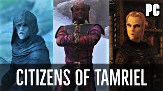 Skyrim Mods CoT Update  More NPCs  Citizens of Tamriel  NPC Mod [upl. by Pirozzo]