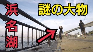 浜名湖で釣りしてたら謎の大物が掛かった！ [upl. by Raffaj]