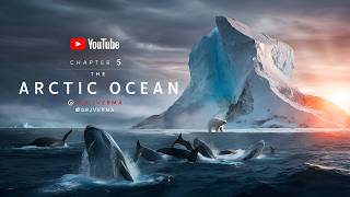 Whats the SMALLEST Ocean on Earth Arctic Ocean Location Explained drjverma arctic ocean [upl. by Sivaj]