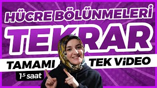 4 Hücre Bölünmeleri FULL TEKRAR  10 Sınıf Biyoloji  TYT Biyoloji Konu Anlatımı 4 [upl. by Trainer]