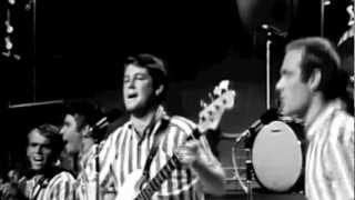 Surfin USA Live on the TAMI Show 1964 [upl. by Nelle]