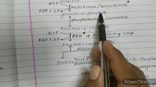 Glycolysis  important point steps regulation and energetics [upl. by Egroeg]