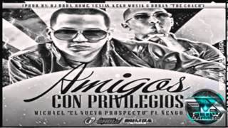 Ñengo Flow  Amigos Con Privilegios [upl. by Feeley]