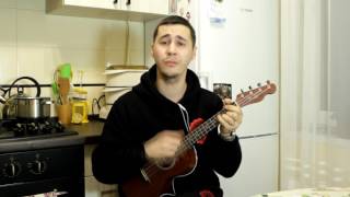 Sting  Englishman in New York Ukulele cover [upl. by Elletnuahc788]